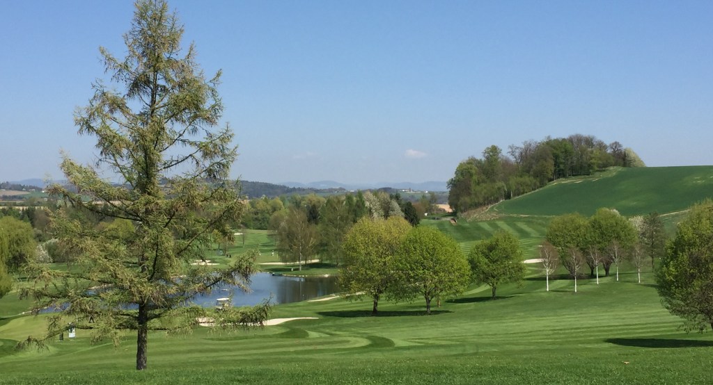 Golfliebling im GC Linz-Luftenberg